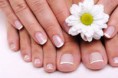 /album/manicure-pedicure/images-20-jpeg/